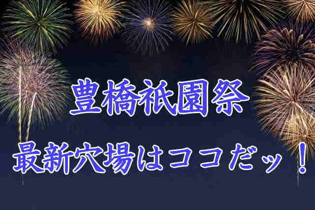 豊橋祇園祭花火大会の穴場