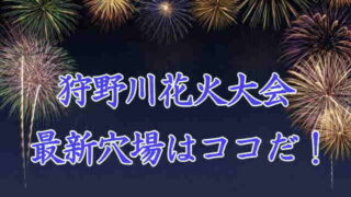 狩野川花火大会