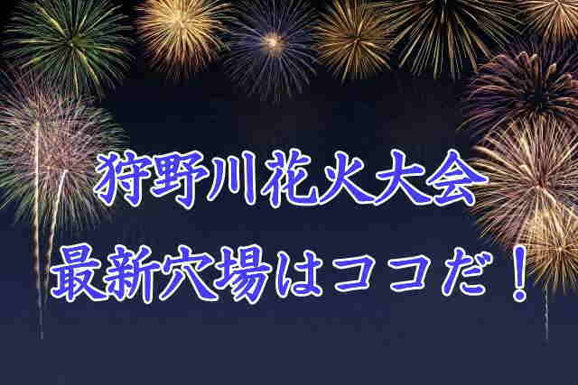 狩野川花火大会